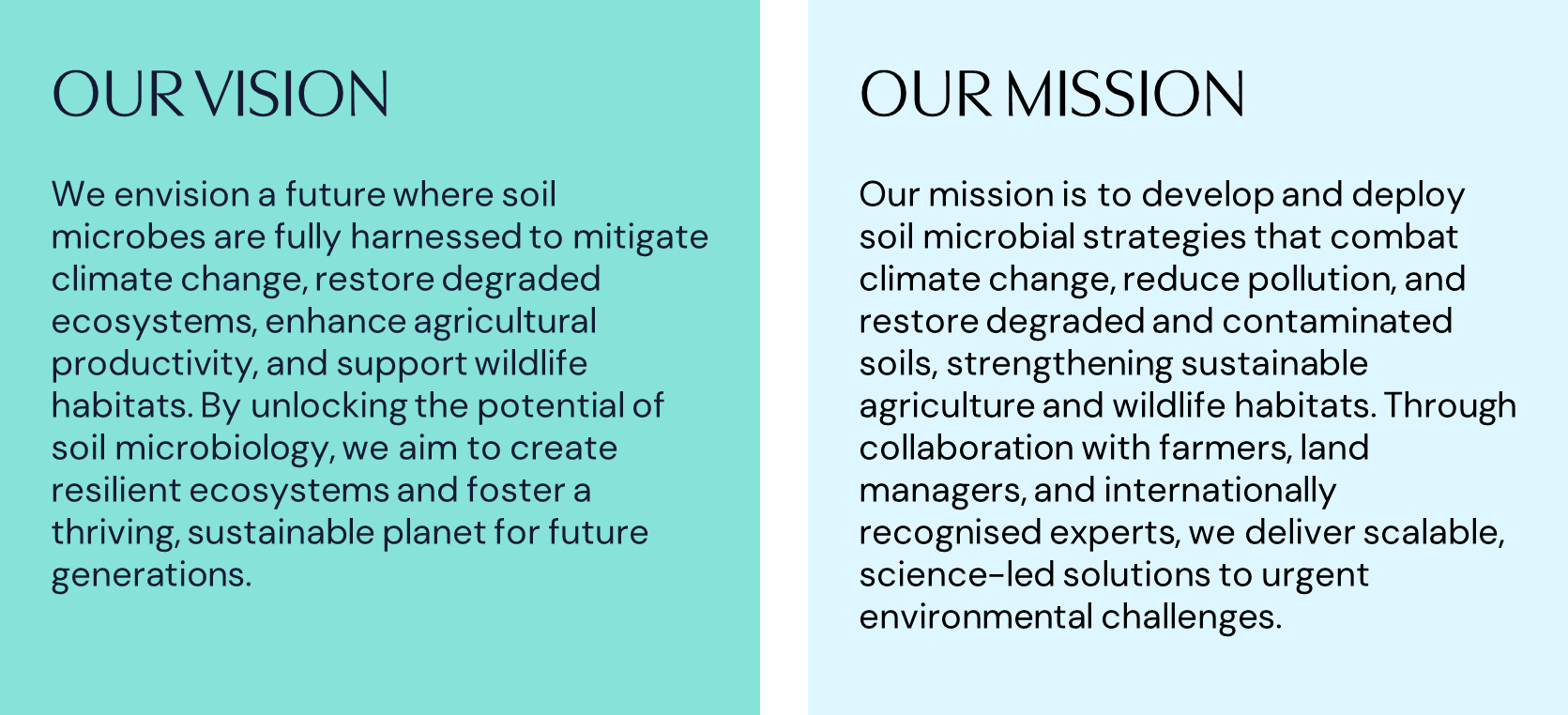 SS Vision and Mission.png