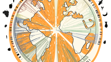 Orange+Atlas+with+phylogenetic+overlay.png